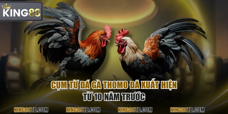 Cụm từ đá gà Thomo đã xuất hiện từ 10 năm trước